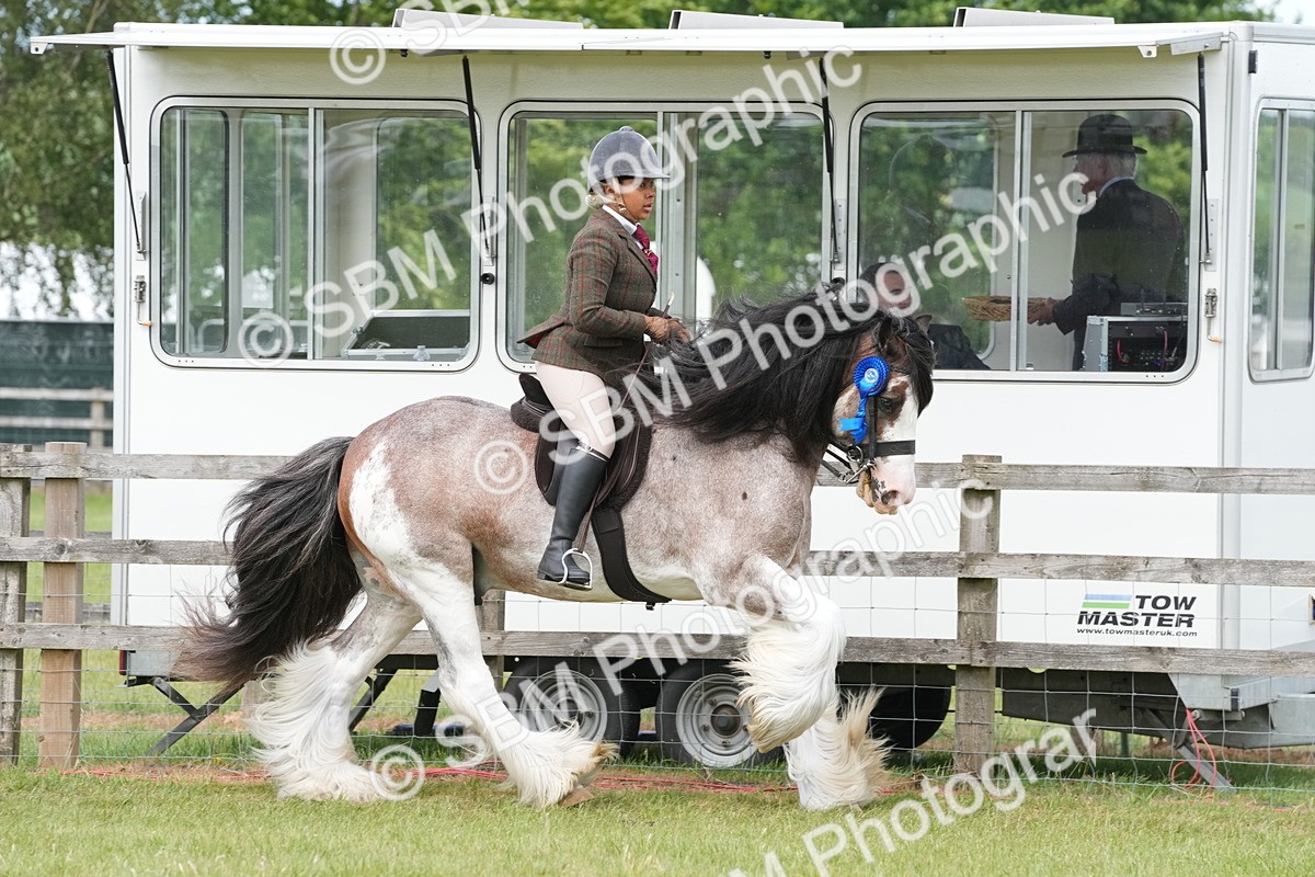 SBM_17652 - Class 107-108 - LIHS BSPS Performance Coloured Horse Pony
