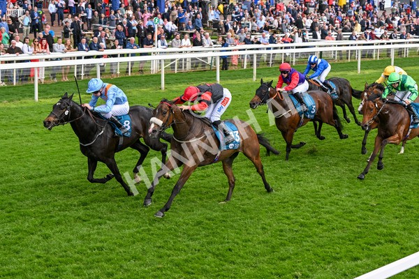 150524-Race 5-Diligent Resdev-4434 - Race 5 4.15pm Conundrum HR Consulting Handicap