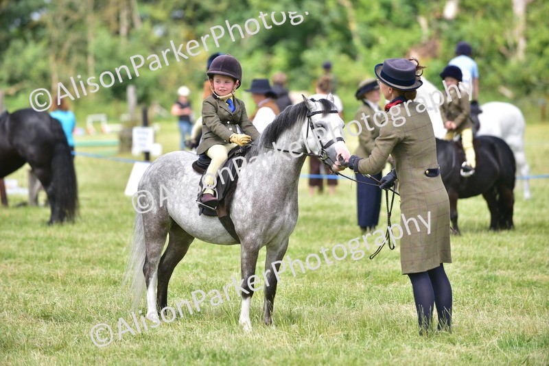 20260614-1272 - Class 11a - Lead Rein Pony (Unplaited)