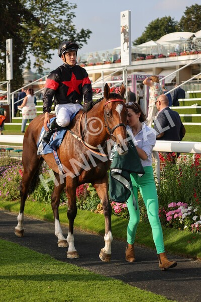 yr05092021r7-41 - Race 7 5.10pm Yorkshire Regiment Stakes