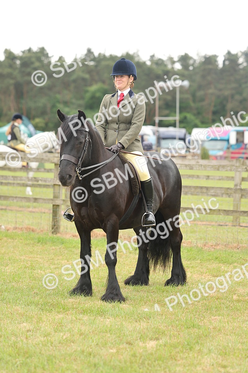 SBM_08998 - Class 78-80 - Ridden M&M Non Welsh Ponies