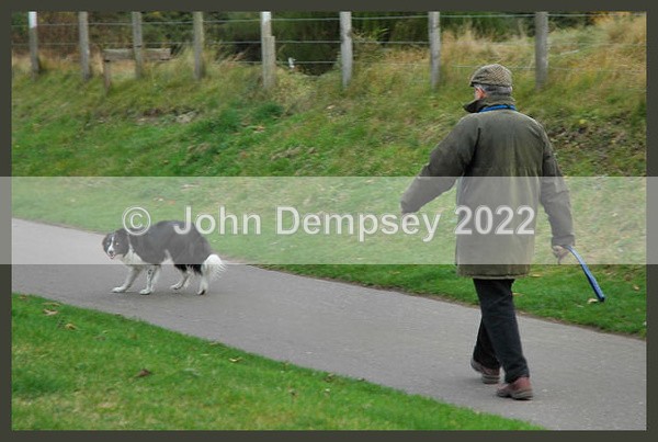 The Shepherd and his Dog - Walking the Dog