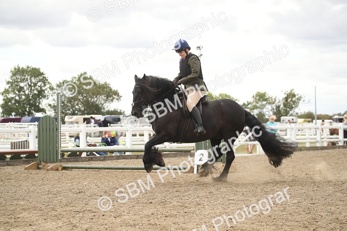 SBM_16637 - Class 507a - Working Veteran - 60cm (15-19)