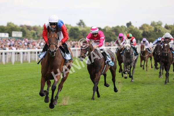 yr19082022r5-25 - Race 5 4.10pm Assured Data Protection EBF Fillies' Stakes