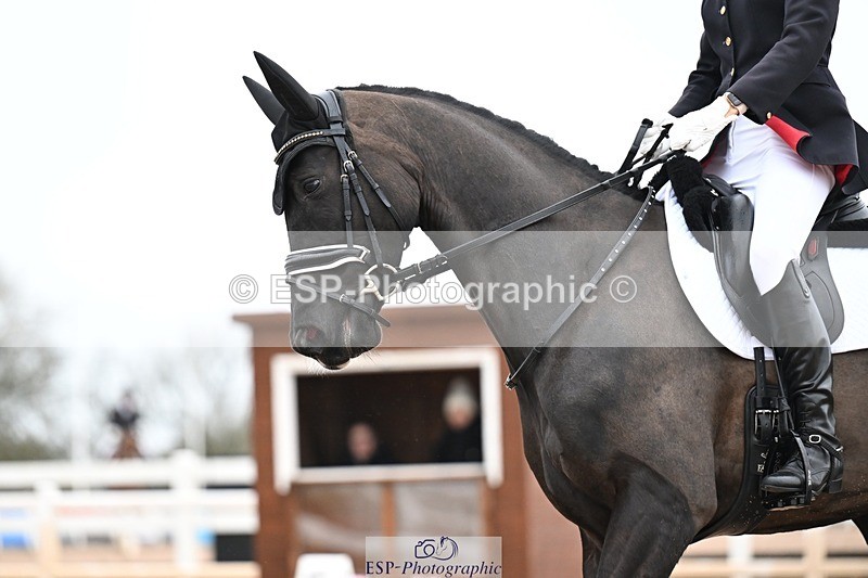 260215-115200-06119 - 067-Nicki.Parnell