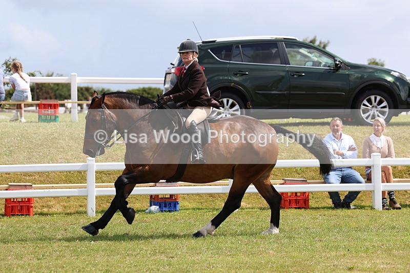 3E7A9777 - Class 5: Rising Star Lightweight/Heavyweight Cobs