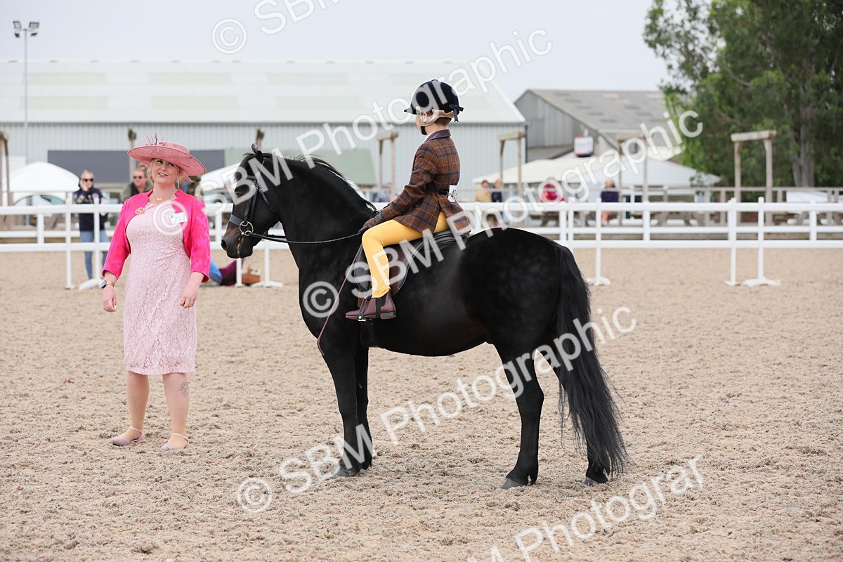 SBM_18137 - Class 316 Best Pony/Rider Combination