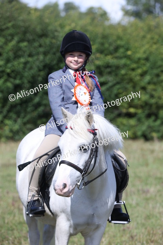 20250831-2570 - Class 16 - Family Pony