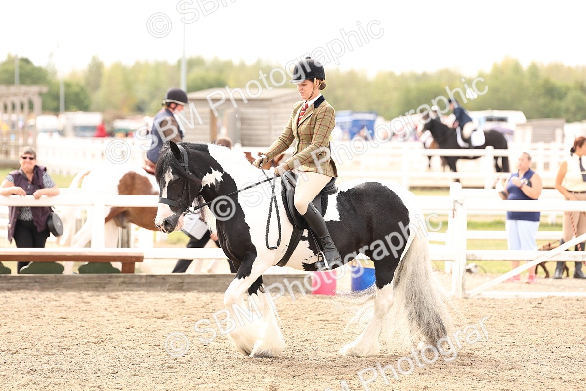 SBM_05117 - Class 56a -  Style & Performance - 50cm (15-19)