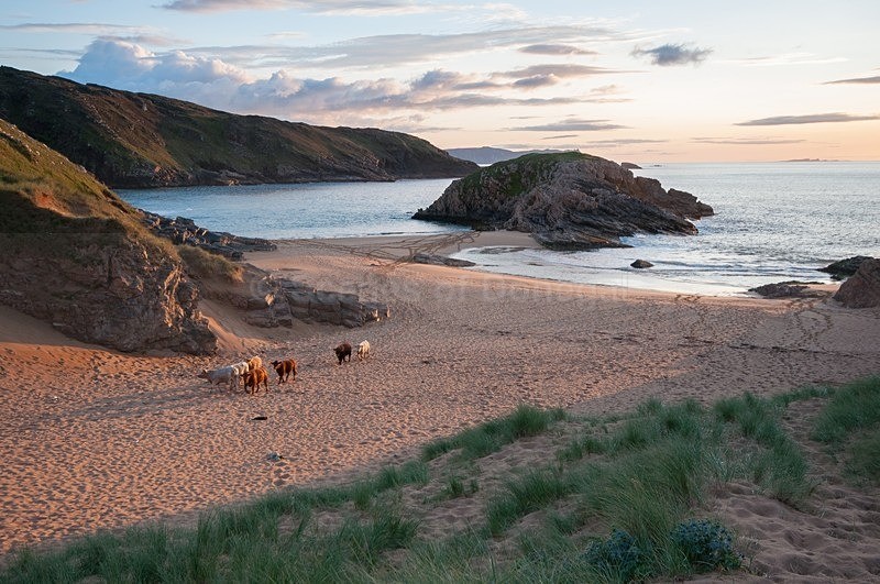 DSC_6047 - Murder Hole