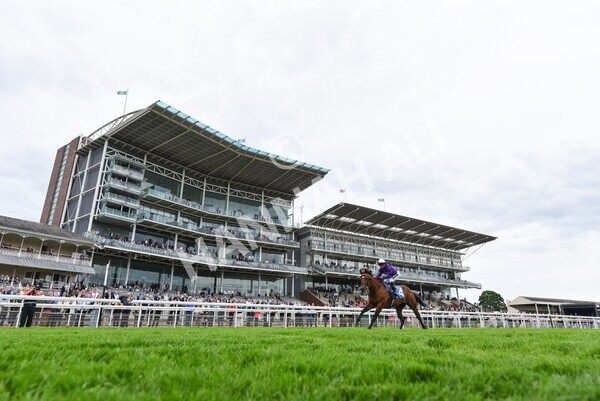 yr22052022r2-19 - Race 2: 4:00pm Sky Bet Sunday Series EBF Novice Stakes