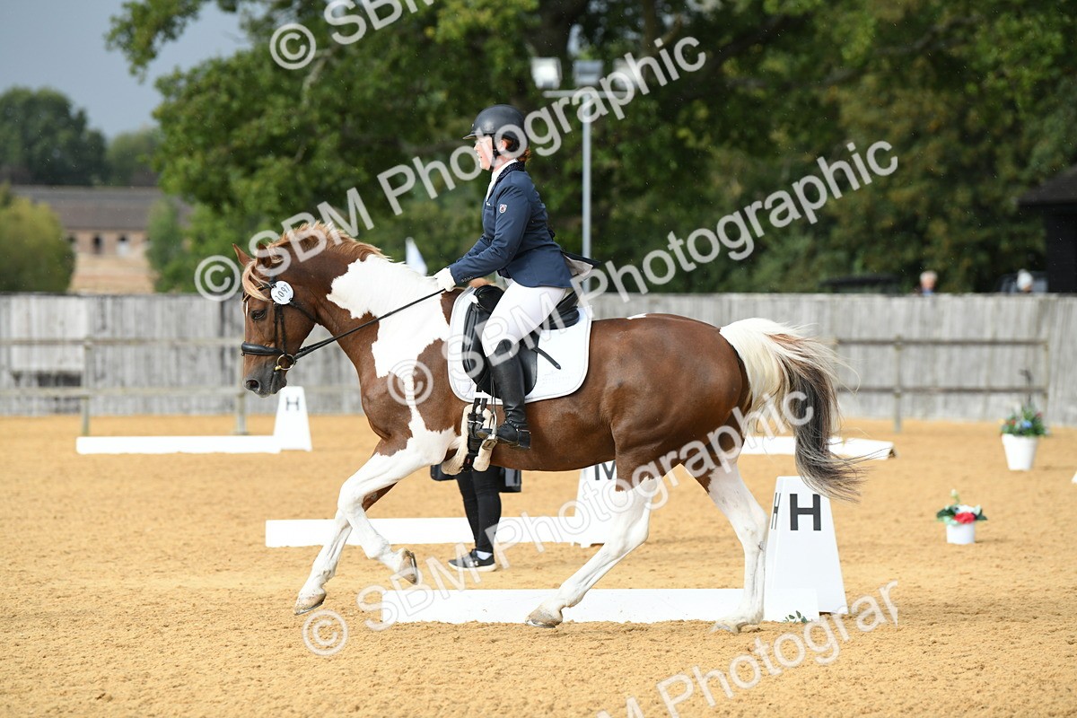 SBM_11084 - D28 Elementary Taster Elementary 42