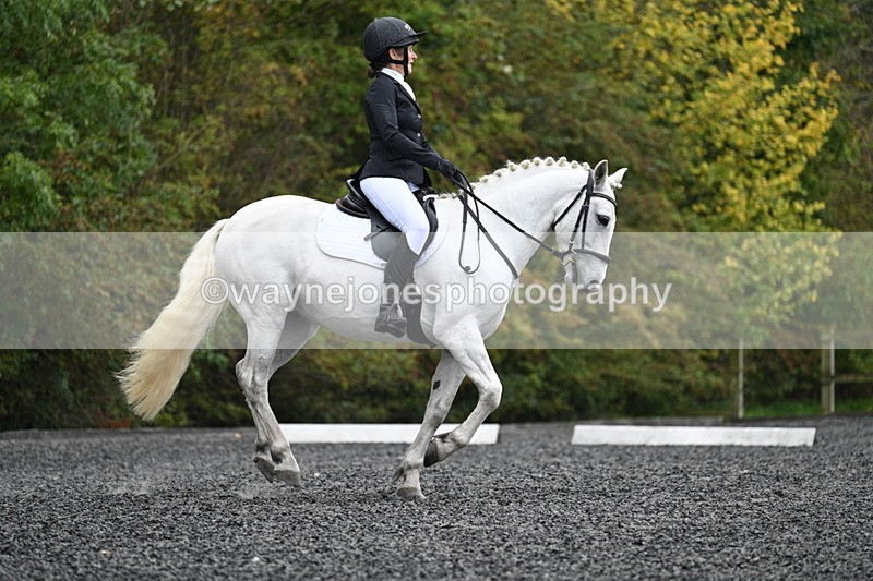 WJ7_4233 - Time 11:43 to 12:09