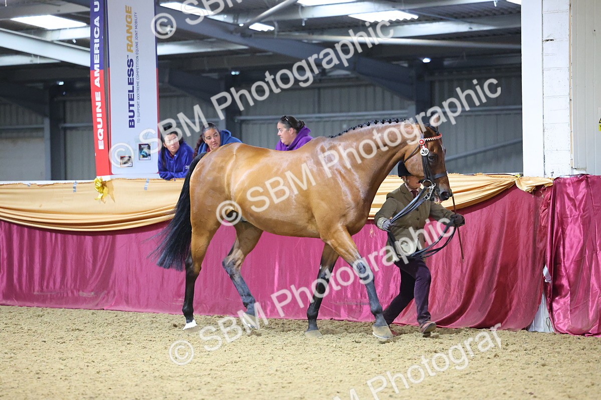 SBM_20765 - Class 902 - Supreme Final IH Veteran