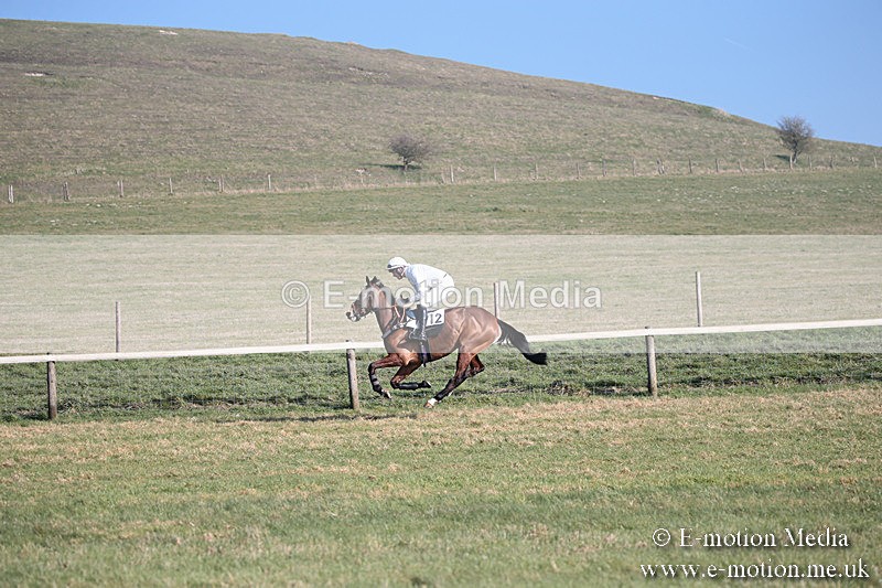 PtP 230219 139 - Vine & Craven Point-To-Point - Barbury 23/02/19
