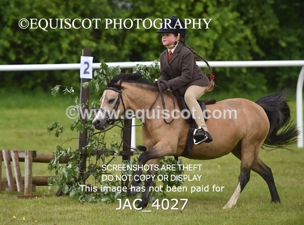 JAC_4027 - 40CM WORKING HUNTER