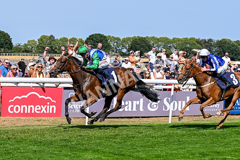 130826-Race 1-Not My Type-7868 - Race 1 14.15pm Racing TV Club Day EBF Fillies' Novice Stakes