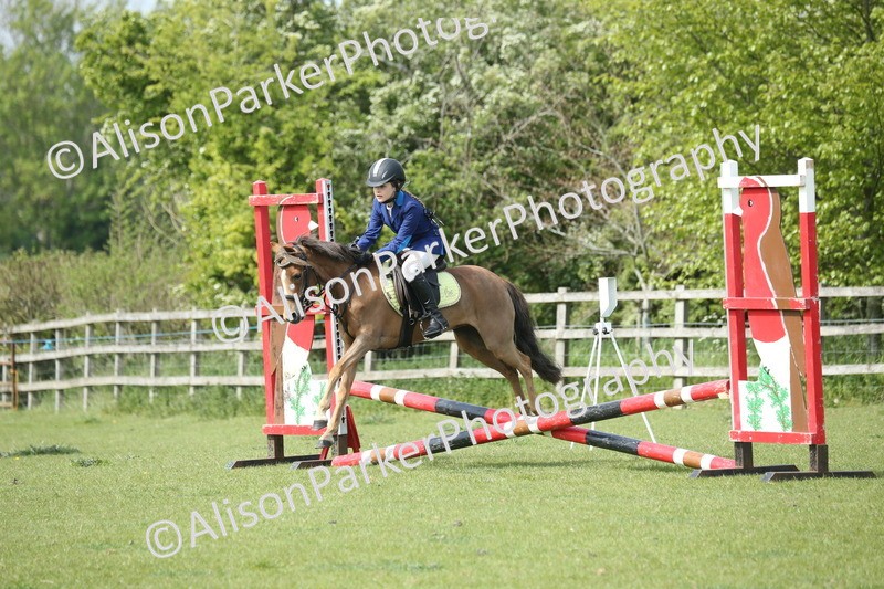 20260426-1568 - Class 14 - Novice 60cm