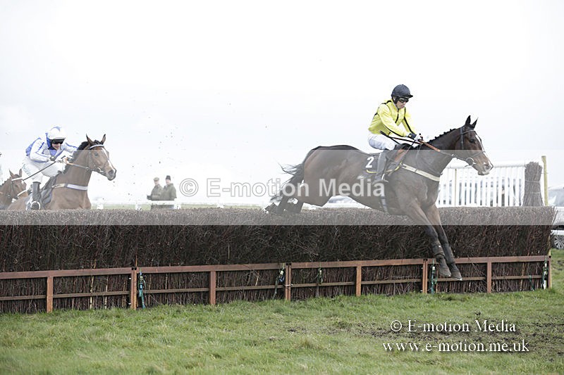 PtP 150320 0577 - New Forest Point-to-Point Larkhill 15/03/20