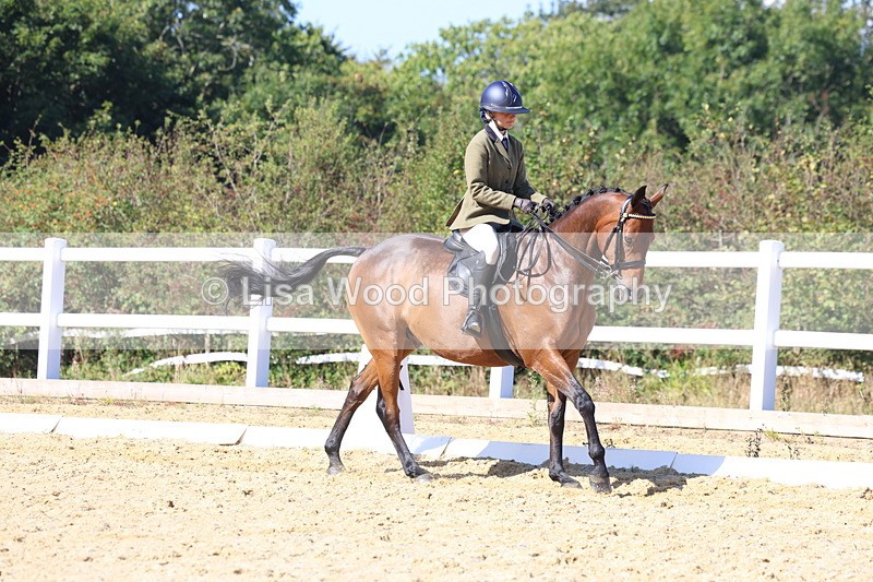 3E7A5696 - Class 10: Riding Horse