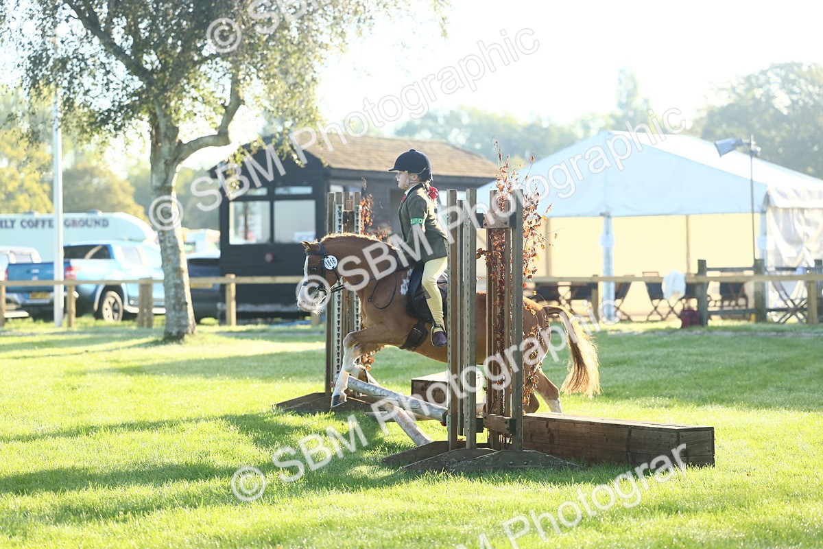 SBM_31812 - S28 - Nursery Stakes Working Hunter Pony