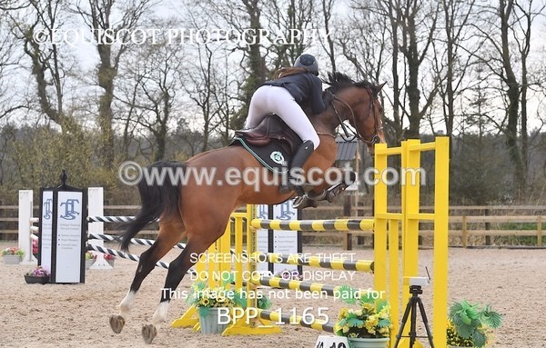 BPP_1165 - CLASS 7 Senior Foxhunter/ 1.20m Open