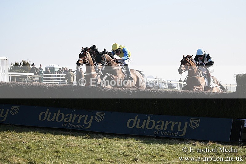 PtP 240218 160 - Vine & Craven Hunt Point-to-Point Barbury racecourse 24/02/18