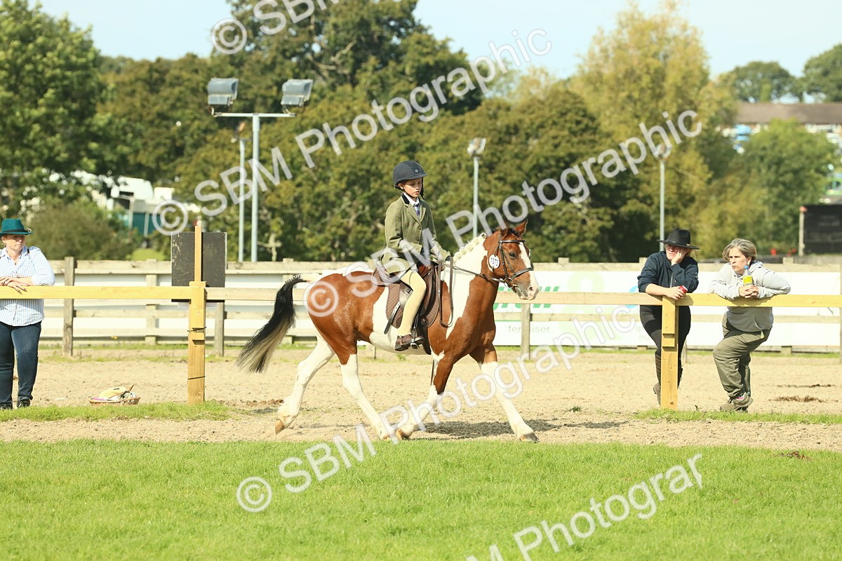 SBM_68912 - S58 - Mini Show Cob Ridden