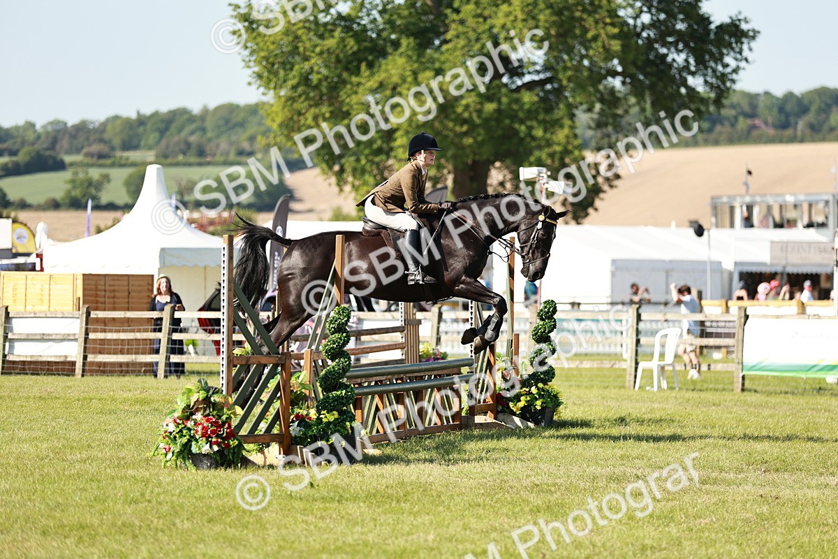 SBM_19153 - Class 115-116 - LIHS BSHA Rising Star Working Hunter & Show Horse
