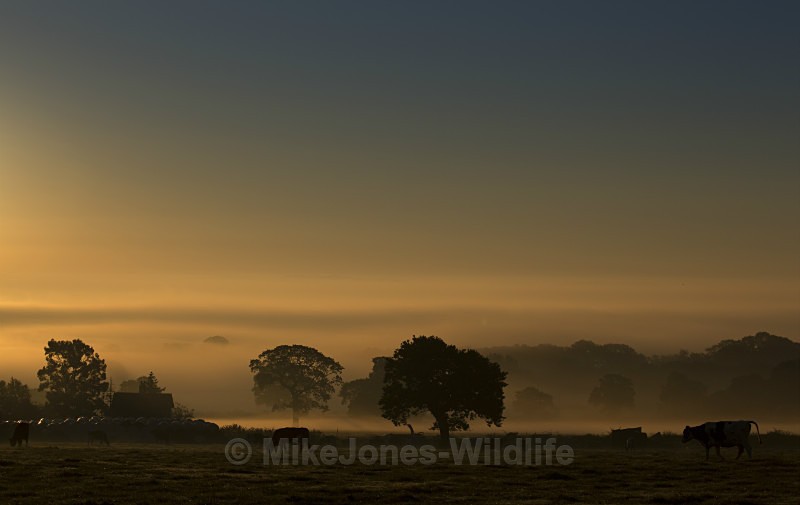 471A5651 - ANGLESEY @ NORTH WALES LANDSCAPE PHOTOGRAPHY