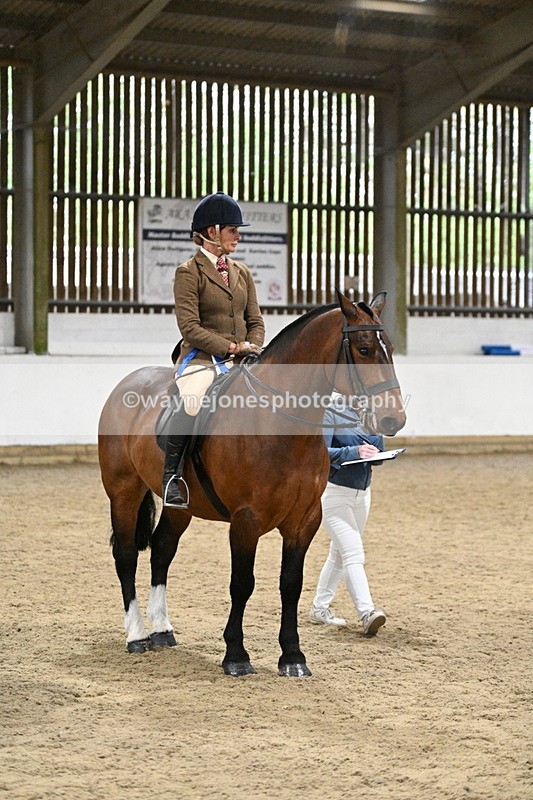 WJ7_4349 - Class 17 Ridden Cob