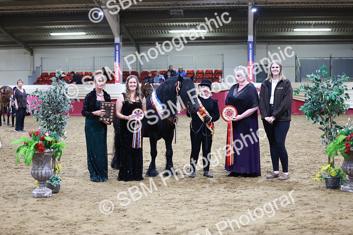 SBM_20419 - Class F - IH Small (148cm & Under)Champ