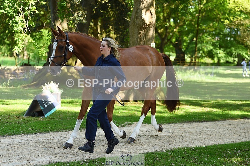 230524-154940-00528 - 378-CLASS_SPEC-Susie_Eddis-WEDTrotUp+DR