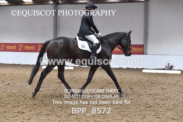 BPP_8572 - NOVICE 4 BD