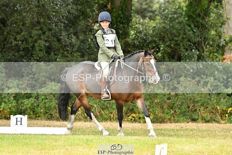 250820A-111331-04946 - 11am to 12