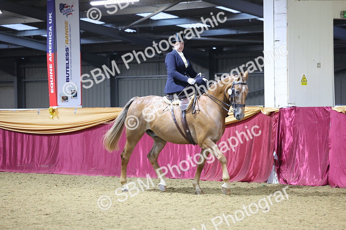 0B8A4241 - Class L Side Saddle Champ