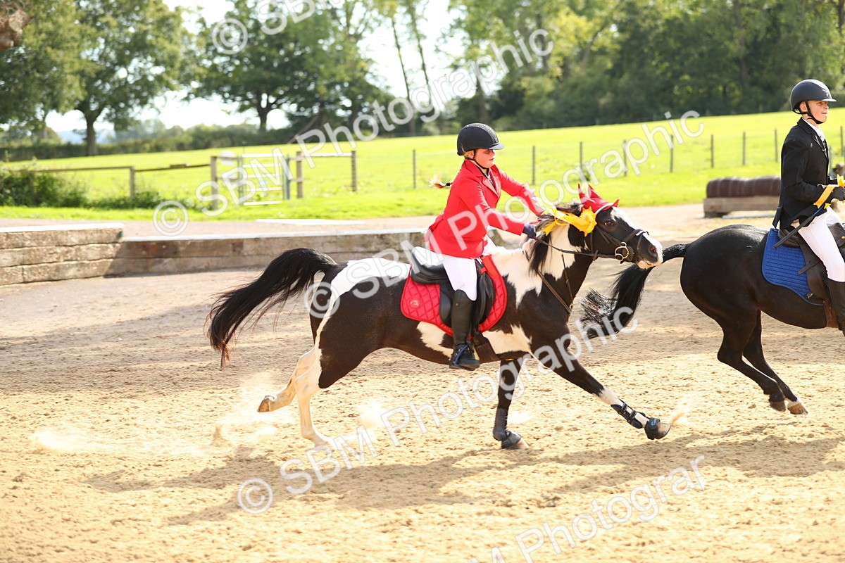 SBM_68056 - J17 - Junior Pony 80cm Championship
