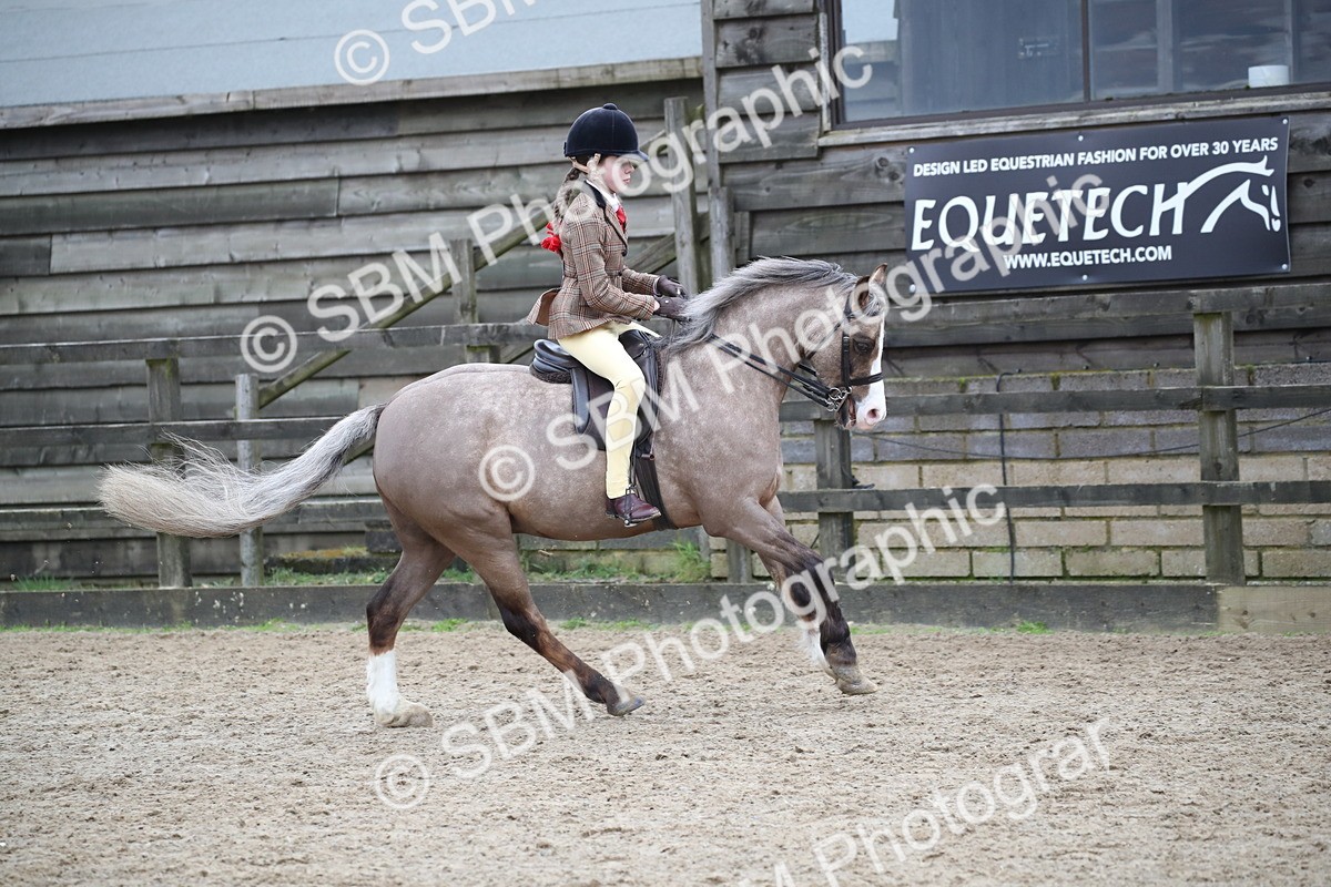 SBM_005990 - Class 10-13 - RIHS Small Large Breeds
