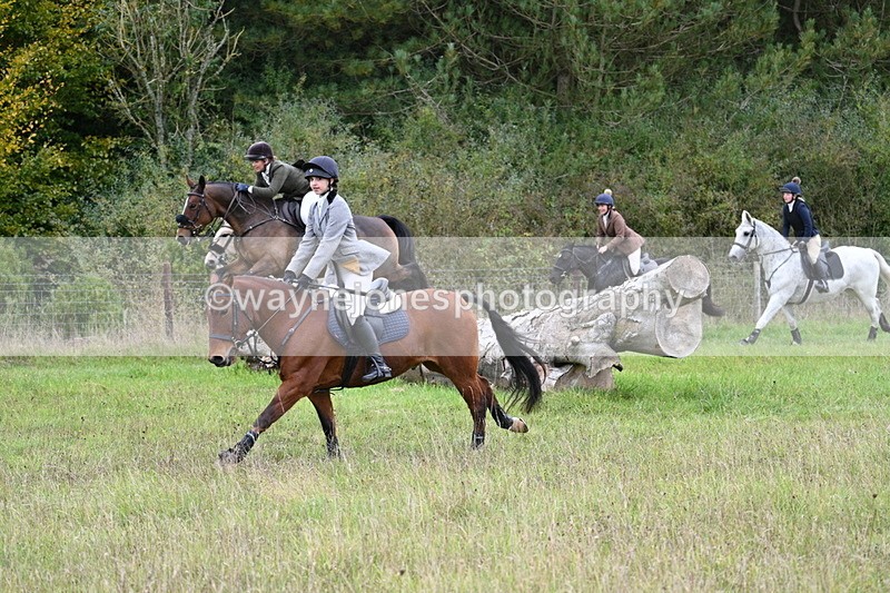 WJ7_3825 - Camera 1 Line 1