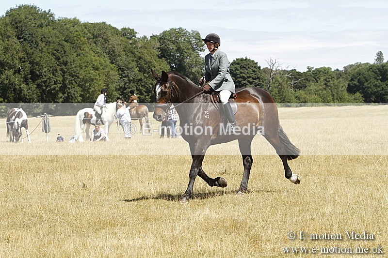 _BS_0843 - BVRC Show 2018 Ring 1