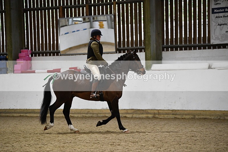 WJ5_8375 - Class 14 Novice Ridden/Rider