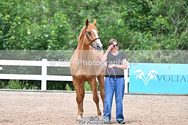 240718A-105320-01868 - Trot Up 1pm to 2pm