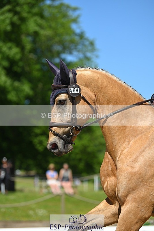 230526-104926-05711 - 464-GRANDE_BY_DESIGN-Emma_Manton-DR