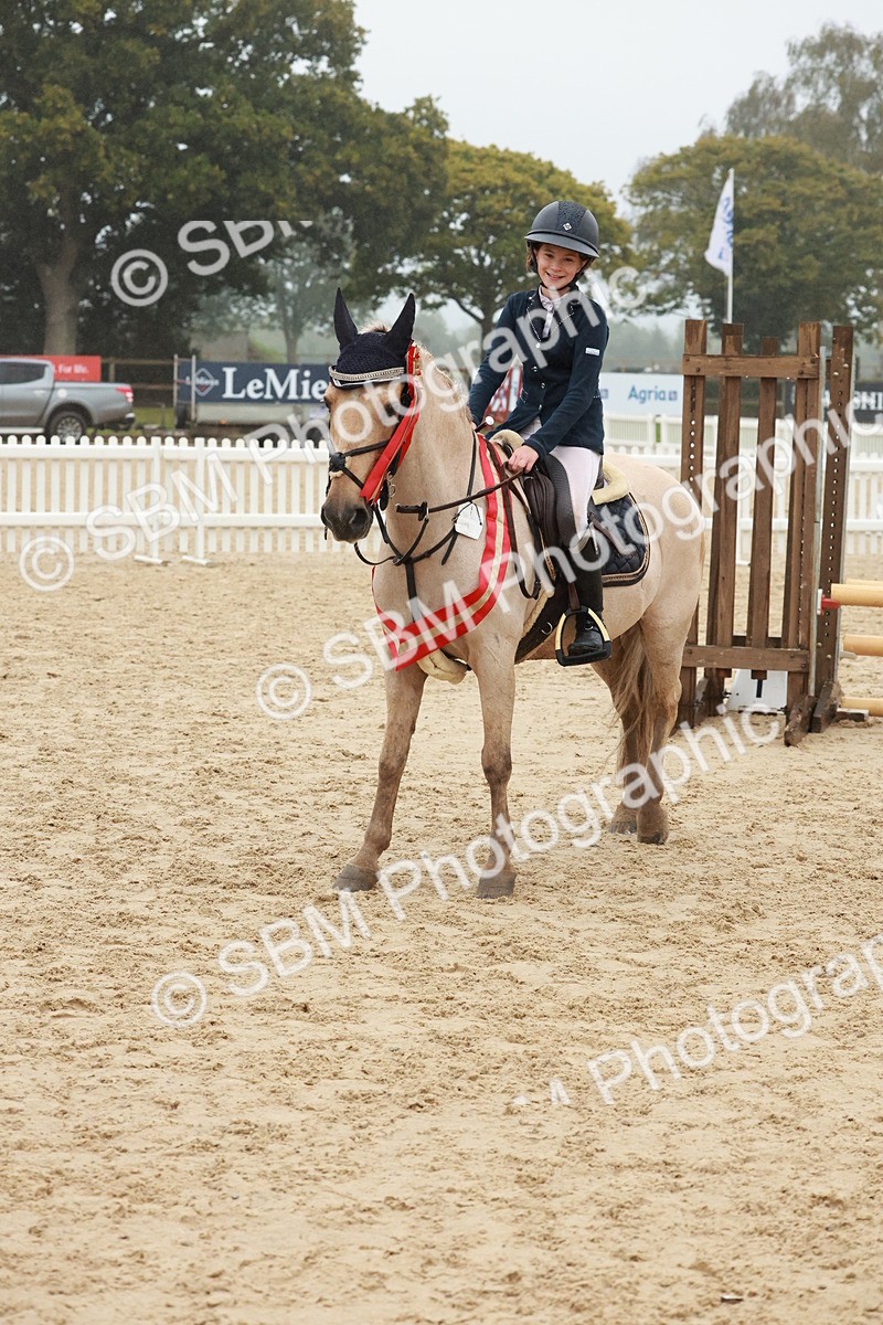 SBM_73483 - Supreme Championship Junior Pony 60cm & 65cm