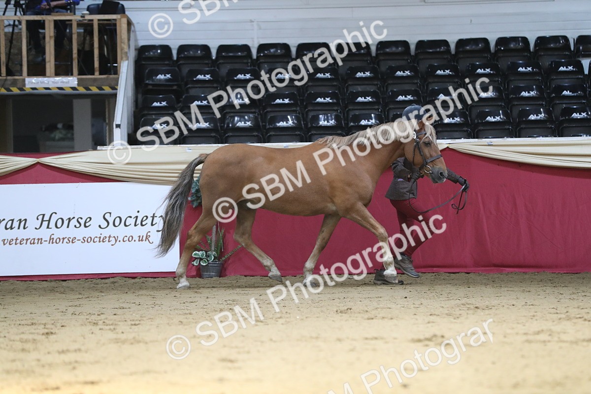 SBM_04377 - Class 7R Regional - IH Diamond