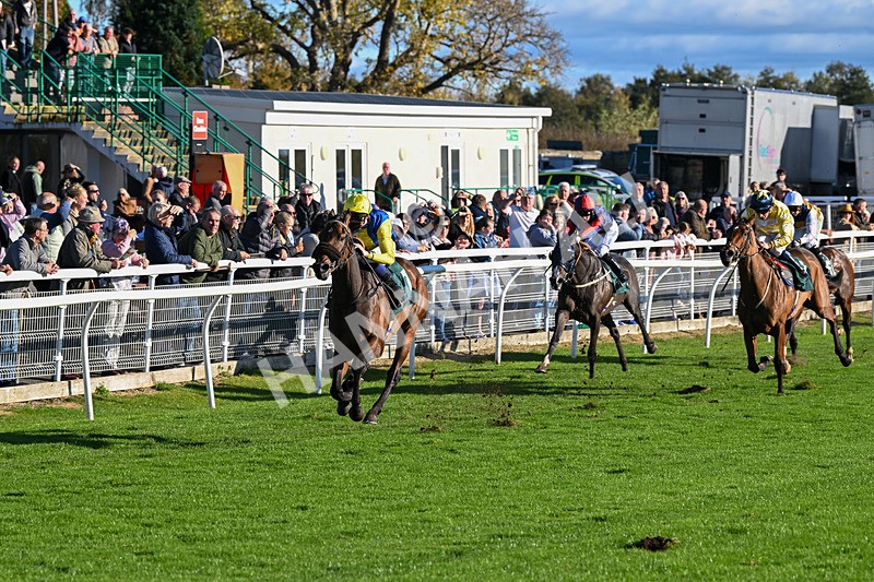 291024-Race 3-Kings Scholar-5911 - Race 3