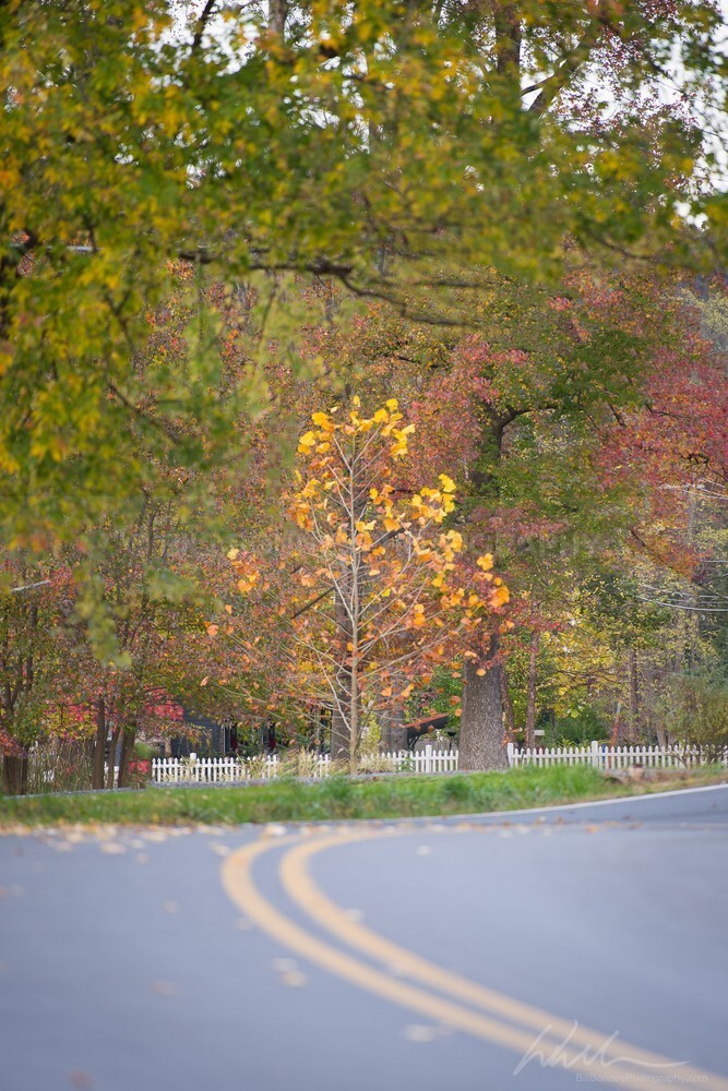 DSC_2676-Edit - Roads