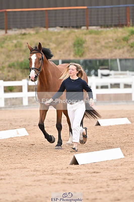 250716-160804-02433 - Trot Up 3.30 to 4.30