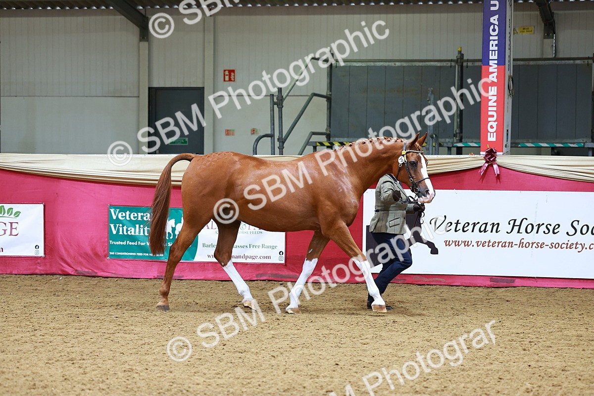 SBM_00532 - Class 3A - IH Pre-Vet