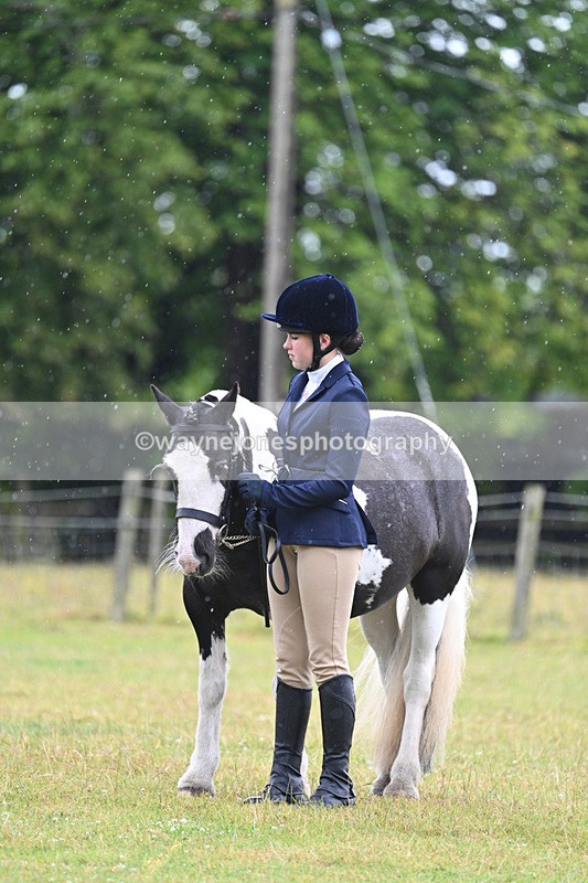 WJ7_5799 - Class 4 Prettiest Mare in Hand